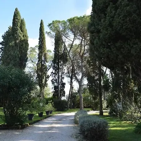 Casa Di Livia *