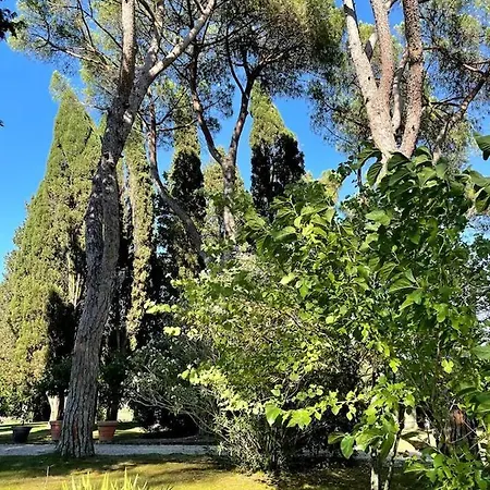 Casa Di Livia